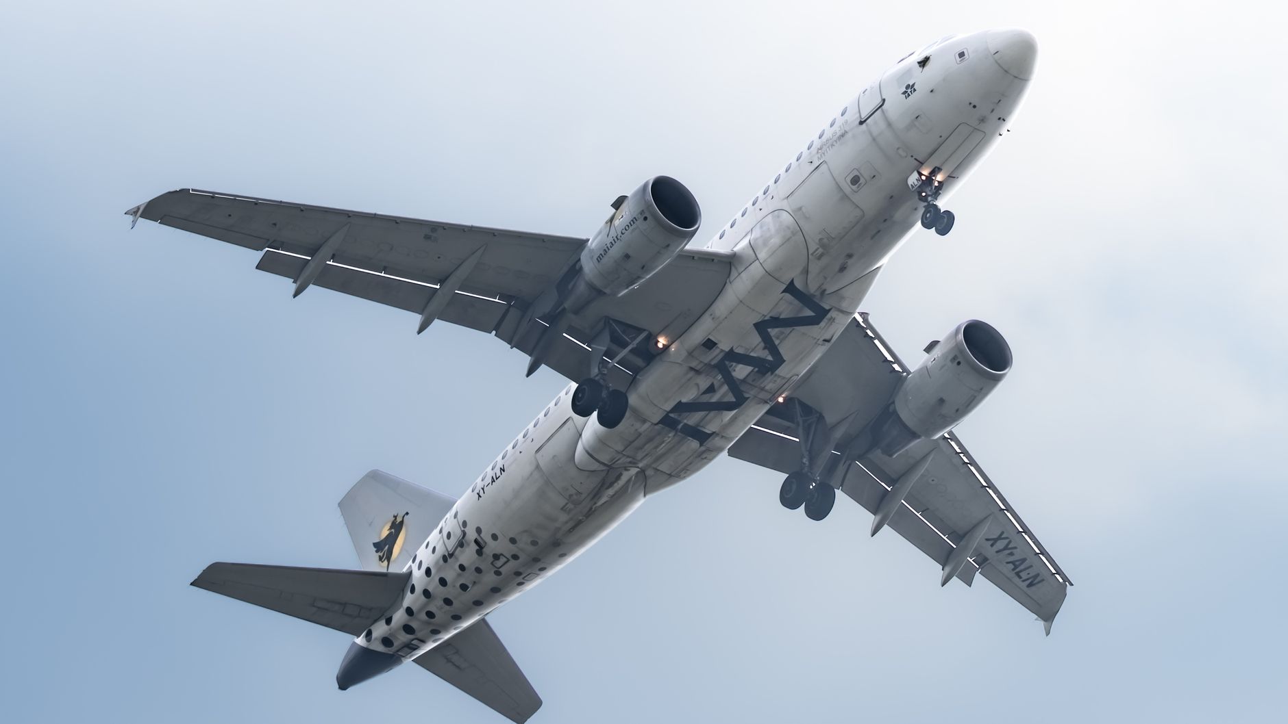 Spirit Airlines Cards Converting to Bank of America Customized Cash