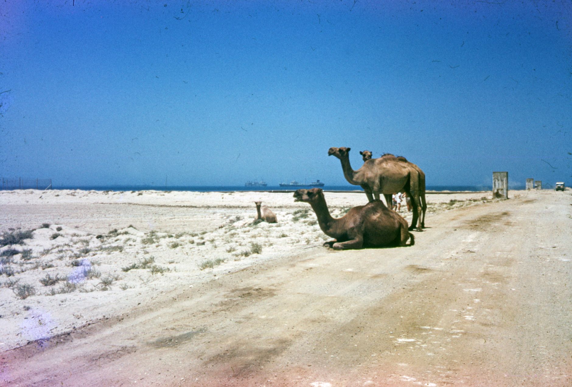 CAMELS overhaul prompts calls for clarity on ‘material financial risk’