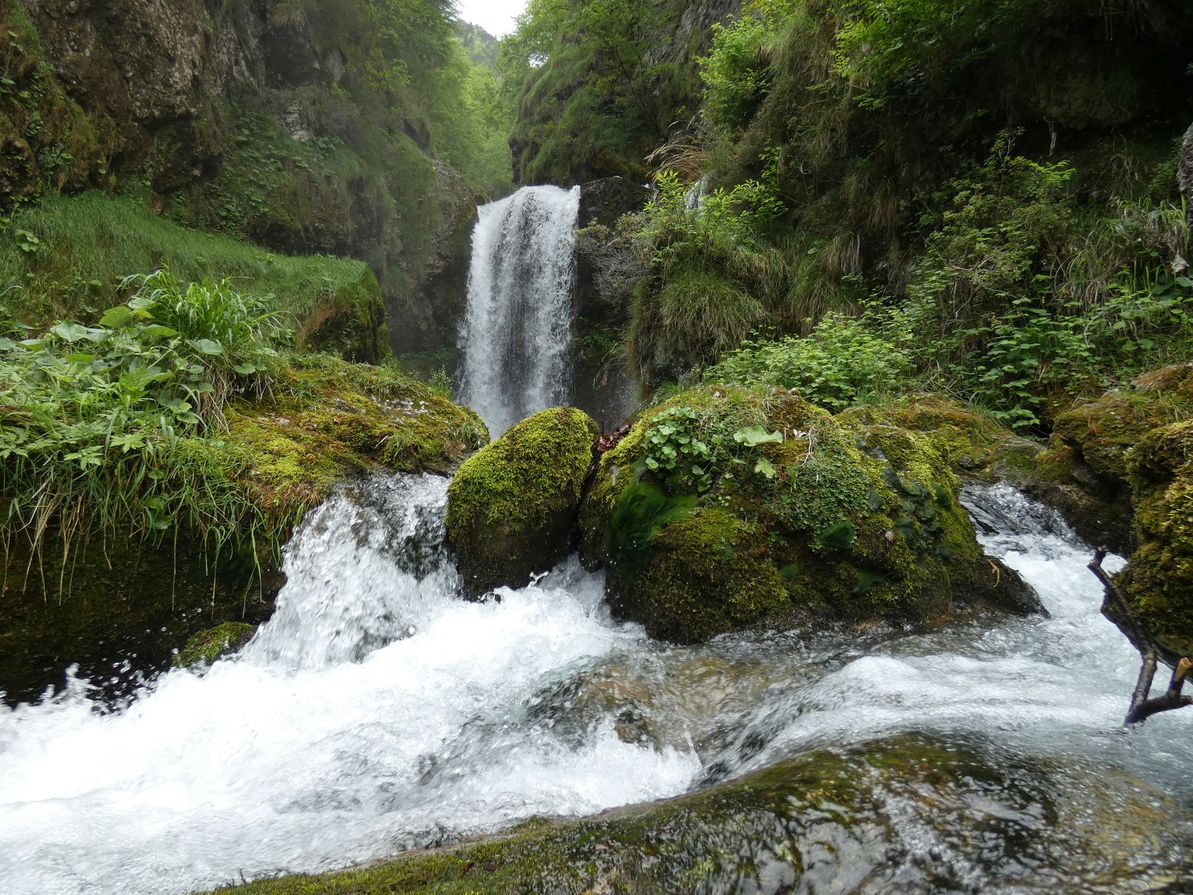 I Hiked Waterfalls From This Trailborn by Marriott Hotel
