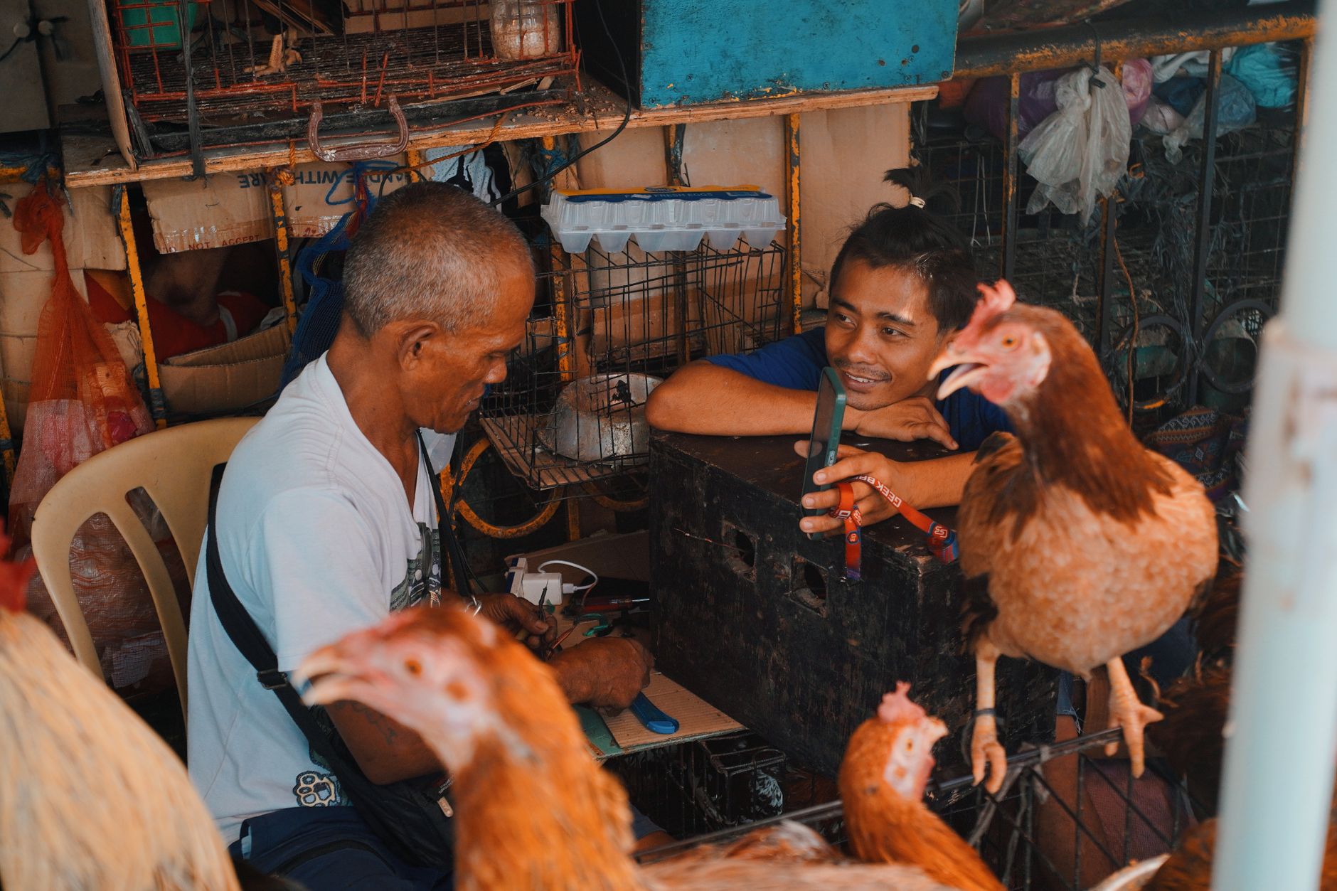Here’s Why Chicken Is So Expensive Now