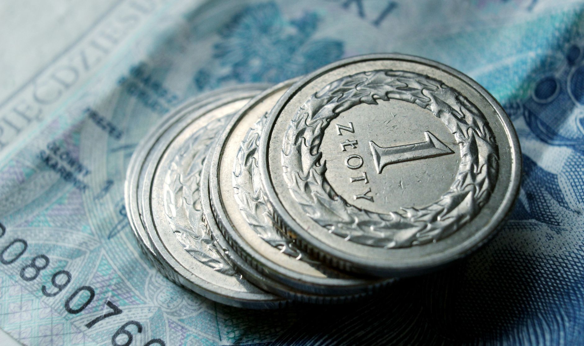 What Is a Savings Rate? How to Find Yours and Why It Matters