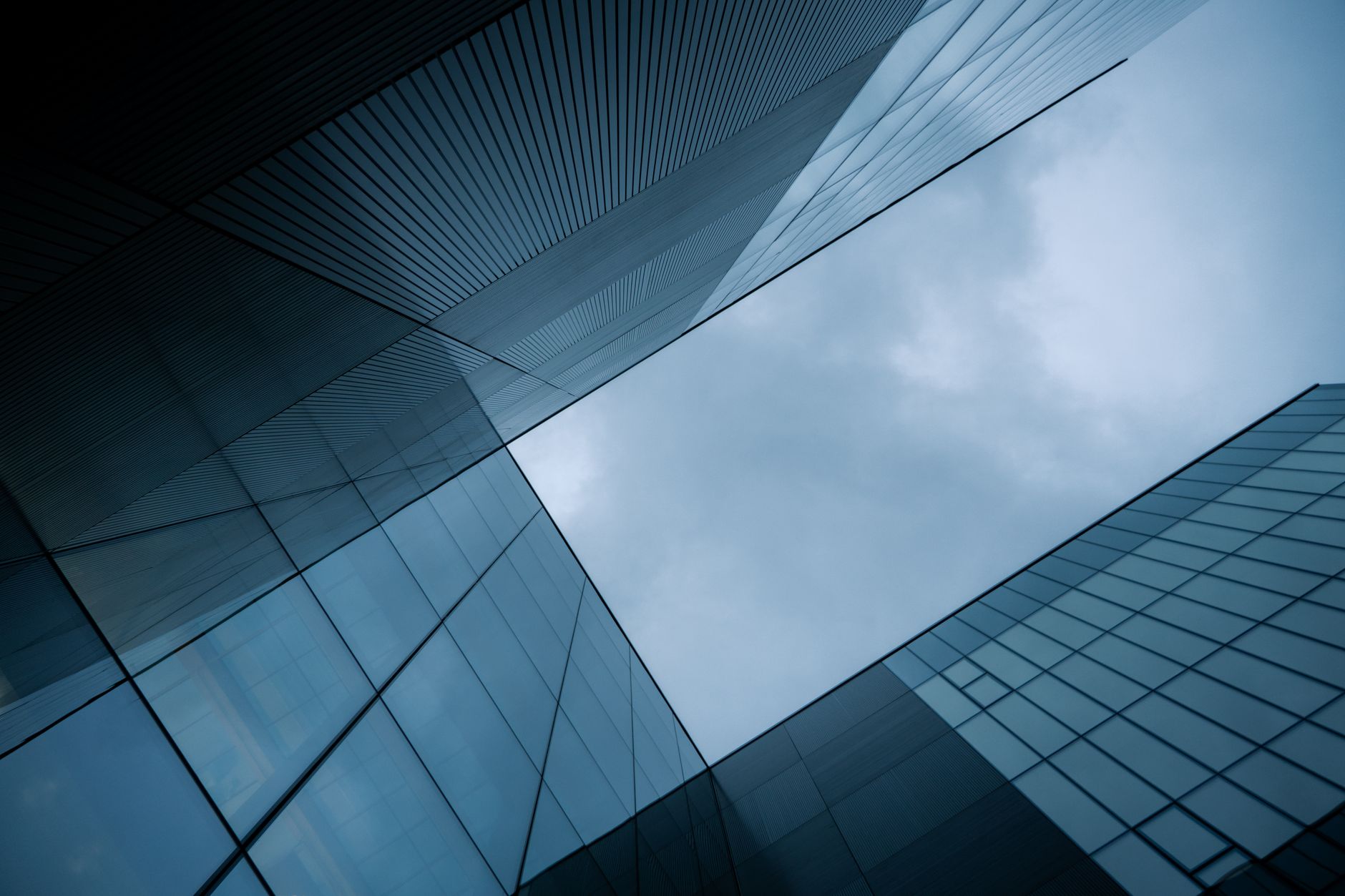 Proptech Seed Rounds This Year Are in Full Bloom