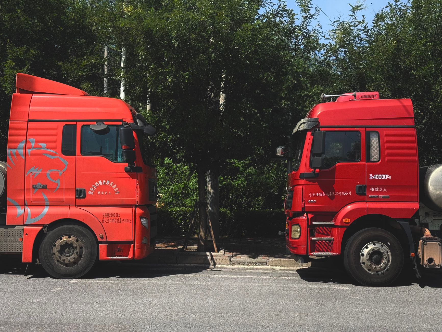 ACCC executes search warrant at logistics software giant WiseTech in competition probe