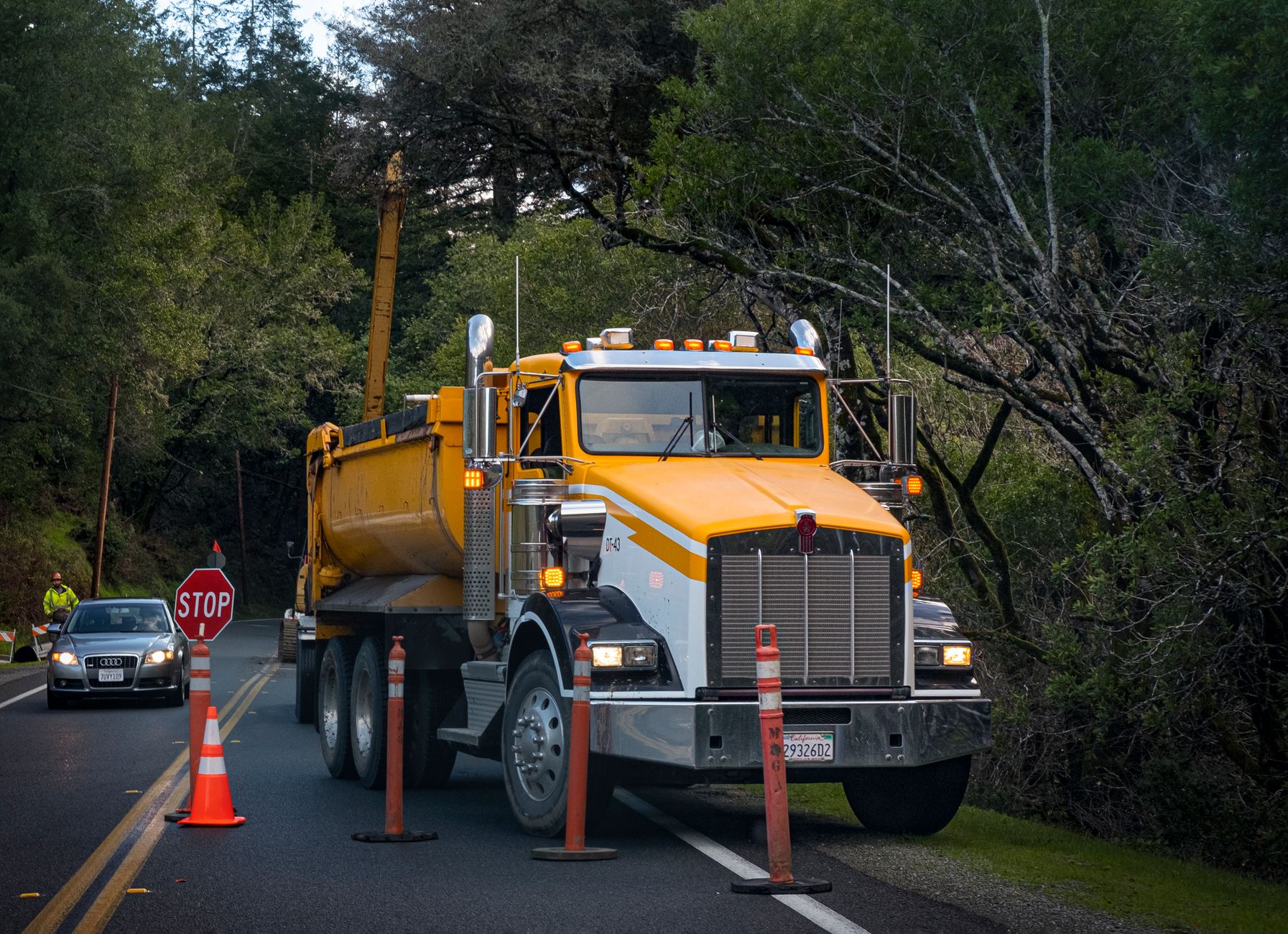 U.S. House legislation targets chameleon carriers