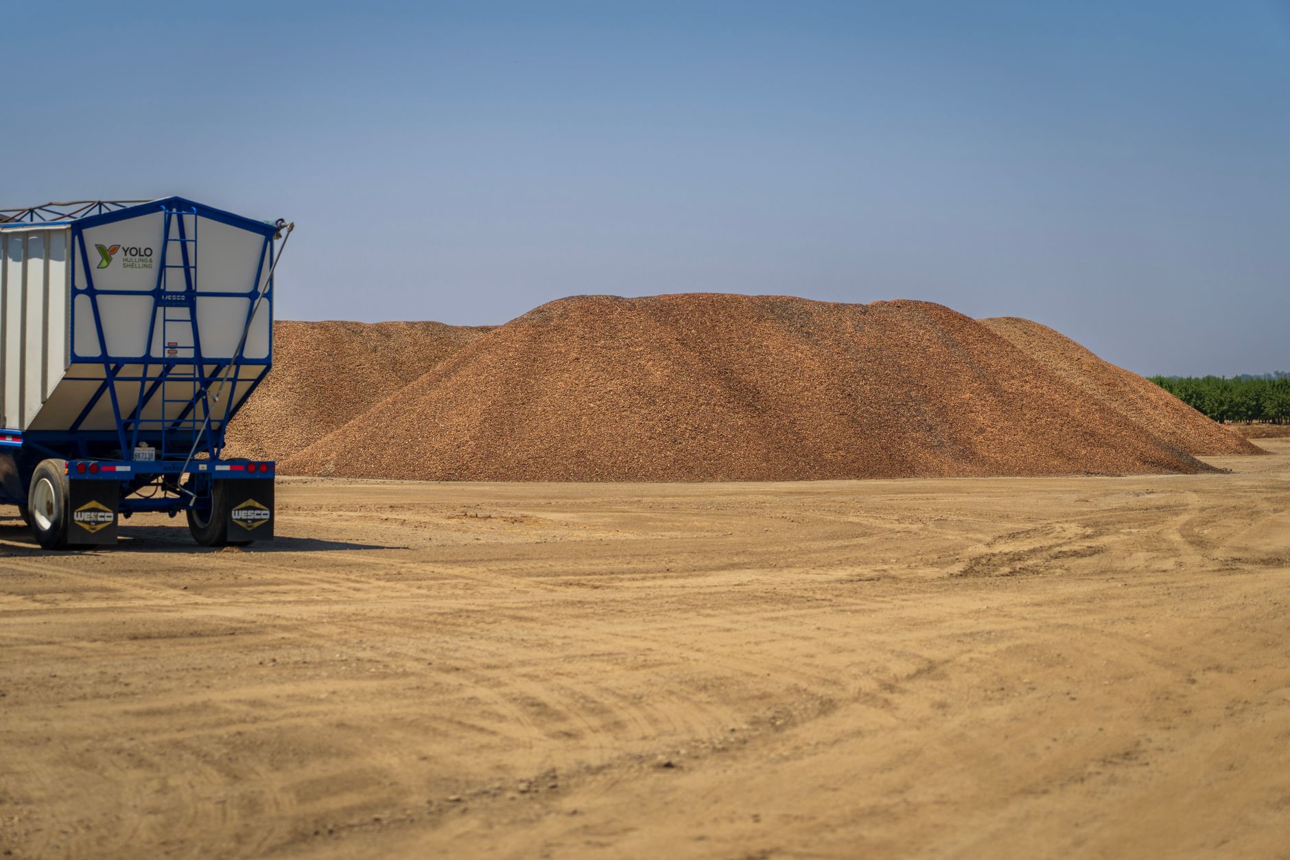 Colonial Terminals opens new Savannah breakbulk hub