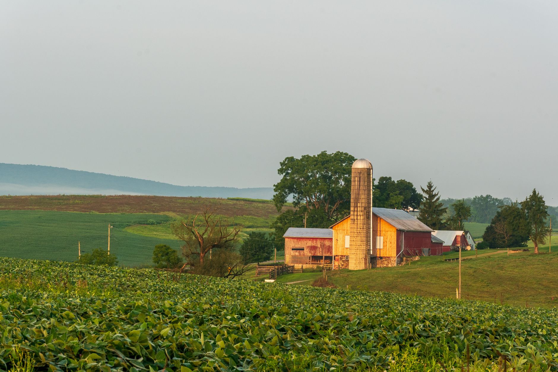 Rural America’s eCommerce Transformation Arrives via Delivery Drone