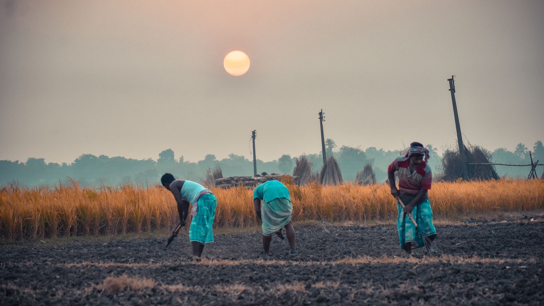 Farmers Struggle to Get Basic Services From Depleted Agriculture Dept. - The New York Times