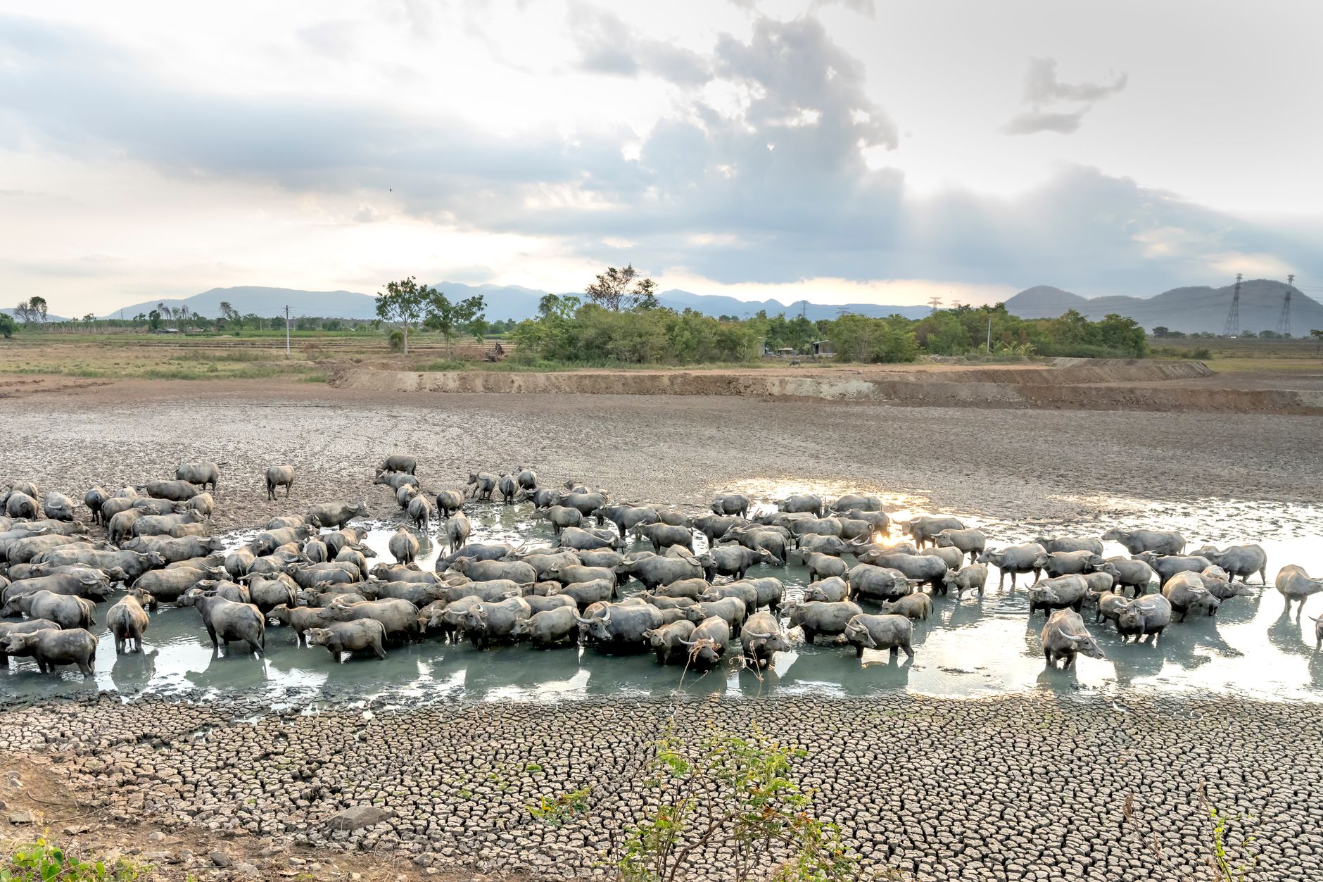 Drought conditions impact your WA business? You may be eligible for federal aid - Bellingham Herald