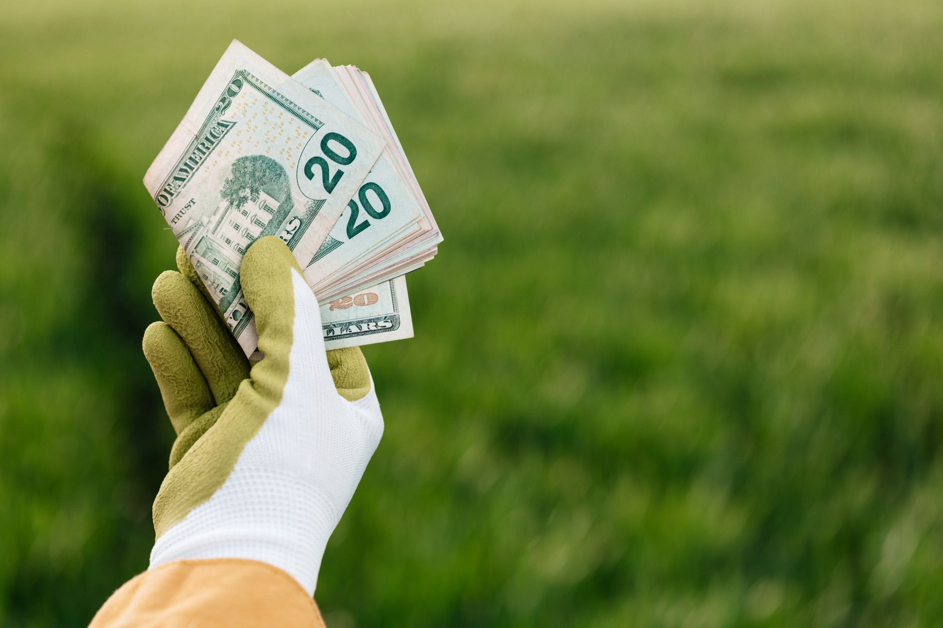 White House withholding $289 million of small business loans - Yahoo