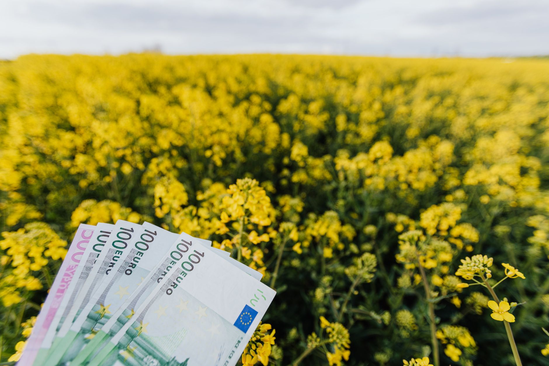 High-Growth Potential Eases Loans for Low-Credit Small Businesses - 조선일보