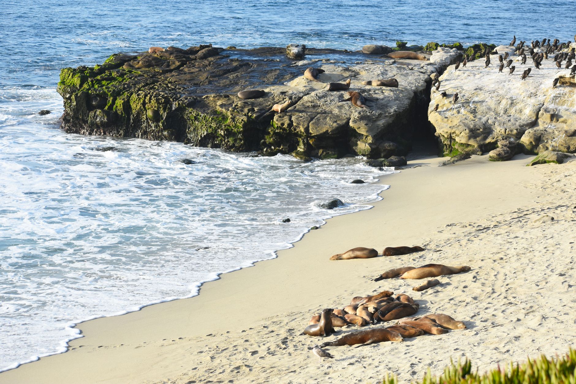 San Diego County unlocks $300K to launch East County small business loan fund - Dealroom