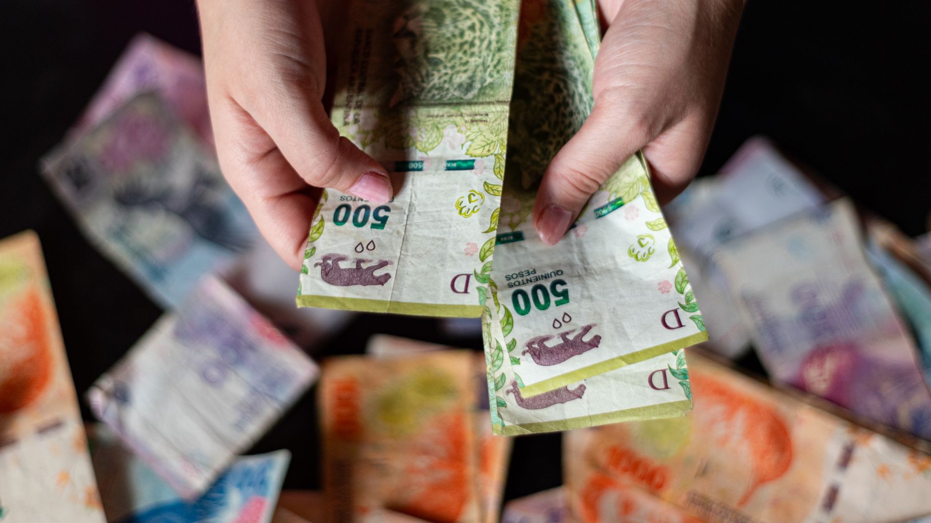 Azerbaijan reports decline in business lending to trade sector - trend.az