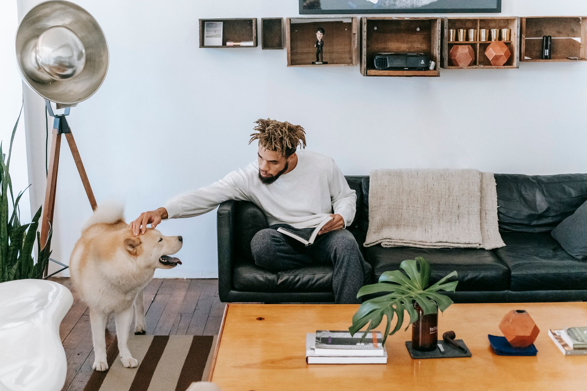 The price of pet ownership is rising. These credit cards offer perks, from complimentary pet insurance to cash back on vet visits - CNBC